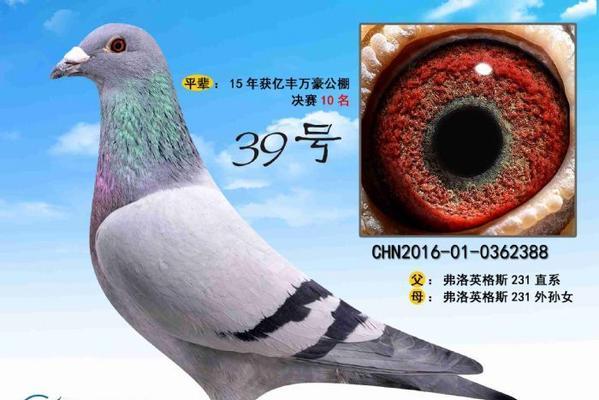 万豪福星出装攻略（从装备选择到战术运用，助你成为王者荣耀的绝世高手）