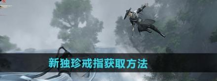 黑色沙漠手游熊猫获取攻略（如何获得可爱的黑色沙漠手游熊猫）
