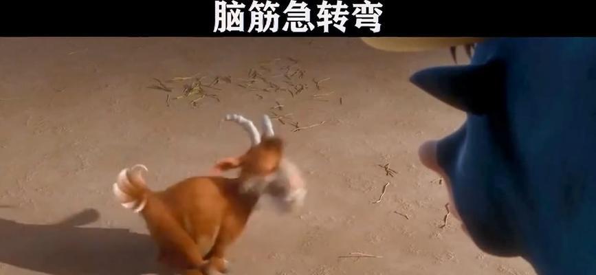 《以亚当找夏娃3》攻略全解析