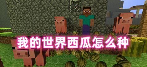 我的世界西瓜怎么种,从种子到成熟瓜果