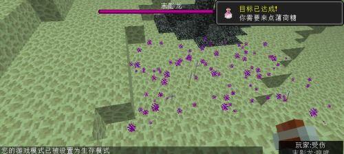 我的世界龙息有什么用,龙息的神秘用途与获取方法