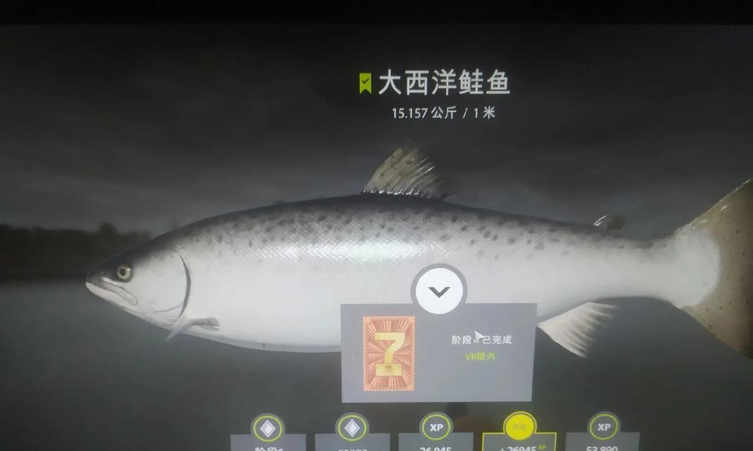 俄罗斯钓鱼4技能点攻略（掌握关键技巧，成为钓鱼高手！）