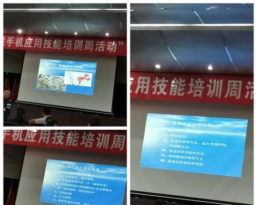 如何选择适合的技能培训班（攻略指南，助你事半功倍）