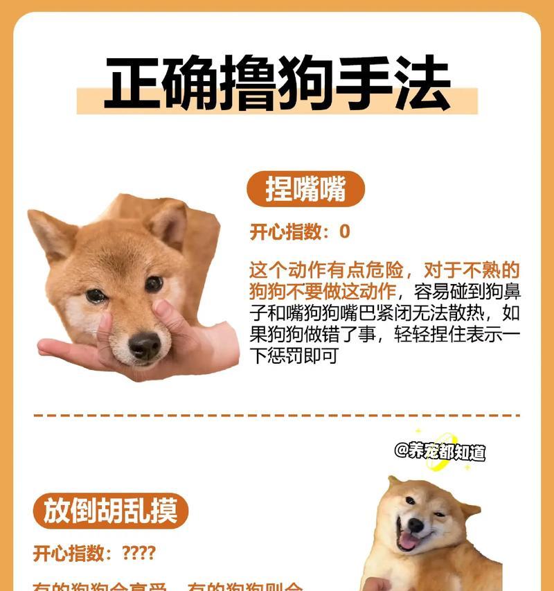 《以奇葩养狗游戏攻略》（游戏攻略，让你成为养狗高手！）