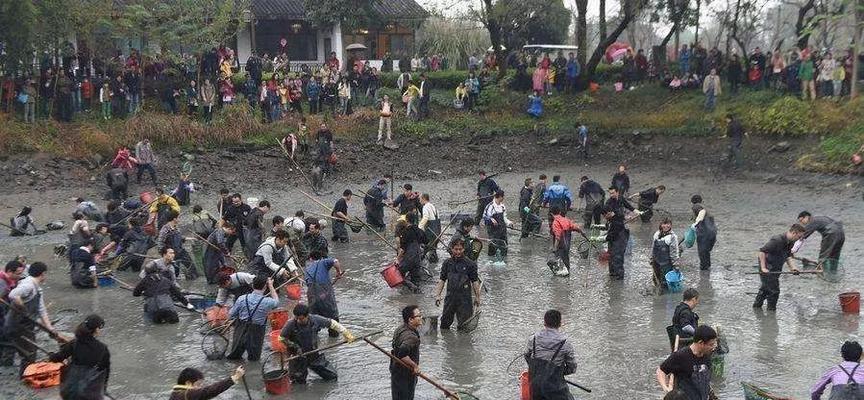 热闹池塘小游戏攻略（畅游水上乐园，感受夏日的清凉！）